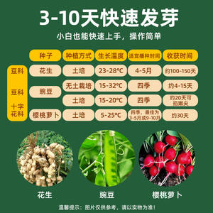 Kit d'expériences scientifiques, fenêtre d'observation des racines des plantes, jouet éducatif DIY pour enfants de 8 à 13 ans, matériau plastique - Product Image 5