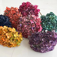 Bunga Hydrangea Daun Besar Premium Alami Awet Ramah Lingkungan Tahan Lama 3-5 Tahun Warna Sesuai Pesanan Pengisi Bunga Toko Bunga Pasokan Grosir