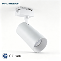Luz de Riel LED Blanca/Negra de Aluminio de 12W, 20W, 30W, 40W, 50W para Tiendas de Ropa, Salas de Exhibición y Comercios