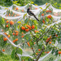 Filet de protection robuste en rouleau pour volailles, idéal pour la protection des volières, vergers de cerises, myrtilles, fraises et pêchers