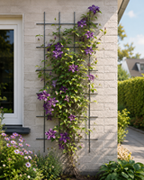 Supports de treillis de jardin en métal robuste pour plantes grimpantes, vignes, fleurs, légumes, décoration de jardin extérieur