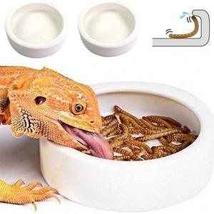 Abri/Caverne en céramique pour reptiles, bol rond durable pour nourriture et eau, empêche <span class=keywords><strong>les</strong></span> vers de farine de s'échapper, toutes saisons - Product Image 1