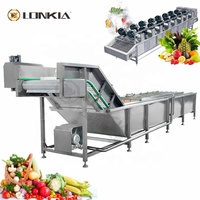 Machine de séchage d'oignons LONKIA/ligne de production de gingembre/ligne de traitement de poudre de gingembre