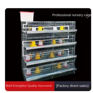 Jaula <span class=keywords><strong>de</strong></span> pollo escalonada <span class=keywords><strong>de</strong></span> <span class=keywords><strong>acero</strong></span> tipo H completamente automática para avicultura, capa <span class=keywords><strong>de</strong></span> huevo a presión natural, equipo <span class=keywords><strong>de</strong></span> valla <span class=keywords><strong>de</strong></span> granja - Product Image 6