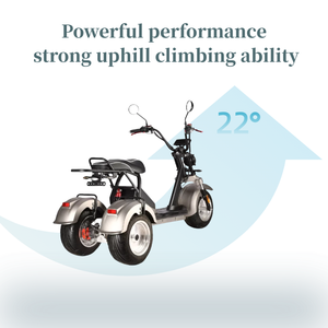 Fat Tire Trike Motocicleta COC 45 km/h 4000W Dual  Motor Citycoco 3 Ruedas E-Scooter Almacén DE LA UE - Product Image 5