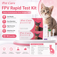 Kit de test rapide de relaxine FRL pour la gestation des chats, pour le dépistage vétérinaire