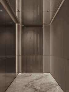 Ascensor Residencial de Lujo para Villas con Cristal de Fábrica OTIS, Vista Panorámica, Iluminación LED, Renderizado 3D Gratuito, Decoración de Cabina Personalizada - Product Image 2