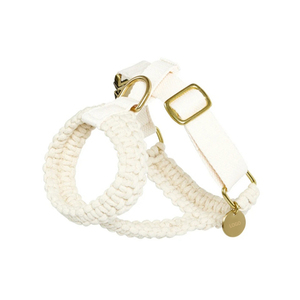Kekang anjing kepang dan <span class=keywords><strong>Harness</strong></span> kucing kepang kalung hewan peliharaan dapat ditutup <span class=keywords><strong>Harness</strong></span> katun jalinan tali anjing Set kerah produsen - Product Image 2