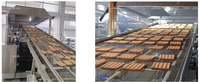 Ligne de production de gaufres et biscuits commerciaux haute capacité, ligne automatique de gaufres moelleuses pour usine alimentaire et de boissons
