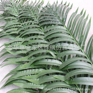 Hoja de coco verde <span class=keywords><strong>tropical</strong></span> simulada Falcé Hoja de girasol falsa Hoja de cola dispersa - Product Image 4