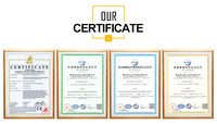 Groupe électrogène diesel Kangmingsi 250 kVA 200 kW en conteneur ISO9001, silencieux, 50/60 Hz, système de refroidissement par eau portable