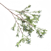 Künstliche Pflanzen Großhandel Natürliche Kunstblätter Plastikzweige Blumenarrangements Hochzeit Weihnachten Heimdekoration