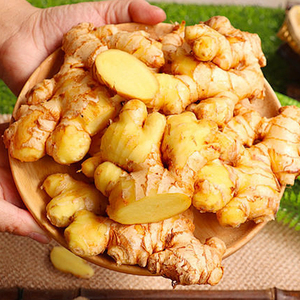 Massaggio del corpo naturale per la cura dei capelli essenziale di zenzero olio essenziale per il cosmetico - Product Image 6