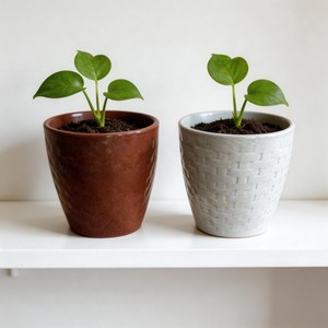 <span class=keywords><strong>Maceta</strong></span> de Cerámica para Exteriores Marca HARVIT - Diseño Contemporáneo, Ecológica, Duradera, Origen Shandong, Grado Alimenticio - Product Image 1