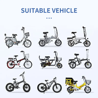 Baterai Sepeda Listrik Silver Fish 24V/36V/48V Baterai Lithium-ion Isi Ulang untuk E-bike Kustomisasi OEM/ODM