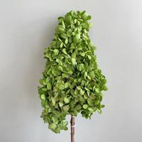 Vente en gros de tiges d'hortensia séché immortel pour décorations de mariage, fête des Mères, Saint-Valentin et fêtes à domicile