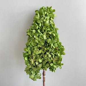 Fiori Secchi Immortali all'Ingrosso, Stelo <span class=keywords><strong>di</strong></span> Ortensia a Pagoda per Decorazioni <span class=keywords><strong>di</strong></span> Matrimoni, Festa della Mamma, <span class=keywords><strong>San</strong></span> <span class=keywords><strong>Valentino</strong></span>, Casa e Feste - Product Image 3