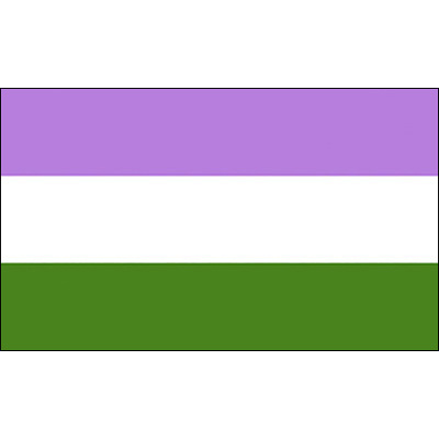 Genderqueer flag