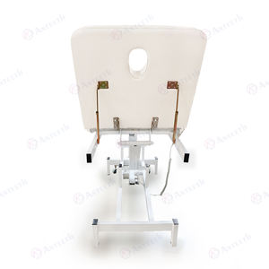 Cama Médica Eléctrica de 1 Motor Portátil para Tratamientos de Fisioterapia Muebles de Salón de Belleza Camillas de Masaje para Spa - Product Image 3