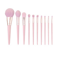 Ensemble professionnel de 10 pinceaux de maquillage roses avec pinceaux éventail, plats, kabuki, pour le nez et les ombres, outils pour le blush du visage, poignées en plastique incluses