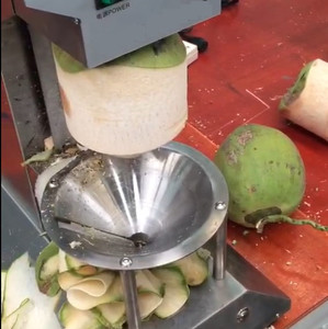 Máquina de procesamiento de coco comercial Máquina peladora de piel de coco verde automática - Product Image 6