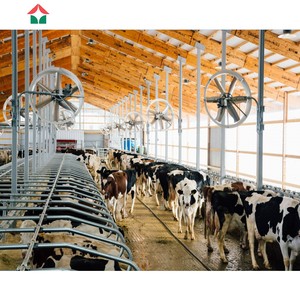 Hangar à vaches <span class=keywords><strong>de</strong></span> conception libre maison préfabriquée pour vaches laitières structures en acier <span class=keywords><strong>de</strong></span> ferme - Product Image 6