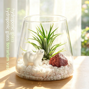 Ev Dekorasyonu Mikro Peyzaj Şeffaf <span class=keywords><strong>Volkan</strong></span> Yüksek Borosilikat Cam Teraryum Saksı Vazoları Masa İçin Modern Düğün Merkez Parçaları - Product Image 2