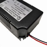 Alimentation électrique pour plantes 30-70W Transformateur d'éclairage à courant constant Adaptateur de pilote pour lampes de croissance Lampe à panneau 100-240V