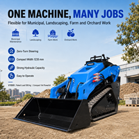 Chargeuse compacte LOGWAY avec moteur à aspiration naturelle pour la construction sur routes rurales – Chargeuse compacte puissante, livraison gratuite