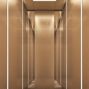 Ascensor Hidráulico Económico para Uso en Villas y Hoteles, Funcionamiento Silencioso y Suave, Capacidad de Carga de 400 kg, Diseño Moderno - Product Image 6