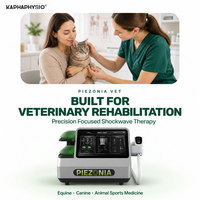 Appareil de thérapie par ondes de choc ESWT Kaphaphysio pour la réadaptation orthopédique des animaux équins, canins et autres animaux de compagnie, pour utilisation en centre de réadaptation