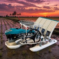 Transplanteuses de riz manuelles à manivelle, 4 rangs, espacement de 300 mm, pour plantation uniforme et espacement régulier, vente en gros OEM ODM