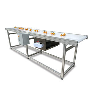2026 Yeni Gelen Otomatik Gıda Sınıfı Domates Kontrol, Sıralama ve Paketleme Bantlı Konveyör, Küçük İşletme Fikirleri için CE Belgeli - Product Image 4
