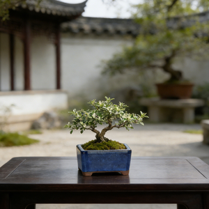 Nueva Maceta Pequeña de Arcilla Morada Esmaltada, Maceta de Cerámica para Suculentas y Plantas Verdes, Diseño Creativo Minimalista - Product Image 3