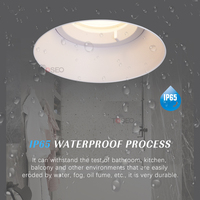 Personnalisation d'usine Matériau en fer et aluminium Ip65 Downlight étanche Led Anti-éblouissement Trimless Downlight