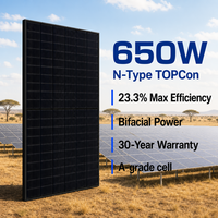 Panneau solaire 650W demi-cellules tout noir type N TOPCon bifacial double vitrage, efficacité 23,3%, garantie 30 ans TUV IEC CE