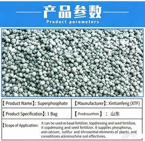 Superphosphate simple granulé gris SSP <span class=keywords><strong>Ca</strong></span>(<span class=keywords><strong>H2PO4</strong></span>)<span class=keywords><strong>2H2O</strong></span> CAS 10031-30-8 disponible, P2O5≥18%, engrais de base pour céréales et arbres fruitiers - Product Image 6