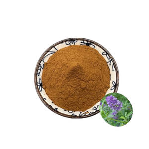 천연 알팔파 추출물 분말 메디카고 사티바 추출물 10-1 벌크 판매 분말 알팔파 추출물 - Product Image 1