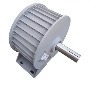 98% Hoge Efficiëntie Wind/Hydro/Zonne-Generator Alternatice Energie Generator Axiale Permanente Magneet Generator Vrije Ener