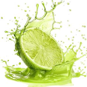 Citron vert frais sans pépins du Vietnam VIOT |   Fournisseur en gros de haute qualité pour l'exportation, 6 cm, 0,1 kg, durée de conservation de 12 mois - Product Image 2