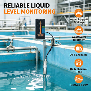 Capteur de niveau de liquide personnalisé, jauge de niveau hydrostatique pour réservoir d'huile, de carburant, de diesel, de pétrole, instrument de mesure pour réservoir de stockage - Product Image 4