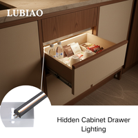 Solution d'éclairage dissimulée pour tiroirs de meubles avec corps en aluminium fin et capteur de mouvement LED YB4003-43