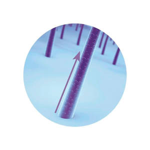 Eudora - Siage Accelera o Crescimento-balsamo 200Ml-condizionatore 6.8FlOz - Product Image 2