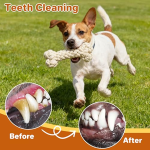 ของเล่นเชือกกัดสำหรับสุนัขแบบขายส่งพร้อมโลโก้สั่งทำ - Product Image 2