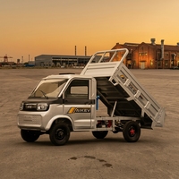 Nouveau camion à benne basculante électrique, mini pick-up, benne basculante hydraulique, véhicule de transport de marchandises, alimenté par batterie, véhicule utilitaire tout-terrain, utilisation agricole
