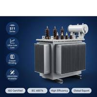 Transformateur de puissance immergé dans l'huile Wanbo-218, haute efficacité, faibles pertes, enroulement en cuivre, norme IEC, OEM disponible