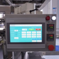 Machine d'emballage de chips de cornichons Kimchi choucroute aneth cornichons olives poivrons légumes fermentés machines d'emballage automatique