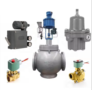 Filtres à air Emerson 67CF, régulateurs et positionneur de vanne électropneumatique Fisher 3582i avec électrovanne Asco - Product Image 5