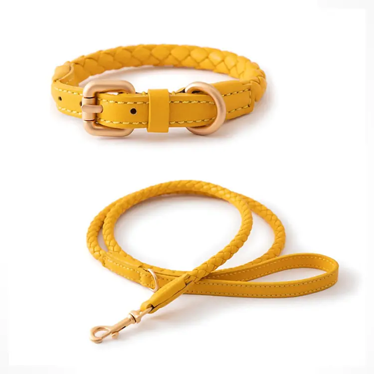 Kingtale Collier en cuir pour chiens Collier et ceinture en cuir de haute qualité à taille réglable Collier de luxe pour chien en cuir Rivet floral