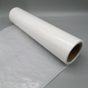 <span class=keywords><strong>Film</strong></span> estensibile <span class=keywords><strong>in</strong></span> tessuto laminato <span class=keywords><strong>in</strong></span> plastica Hdpe PET <span class=keywords><strong>in</strong></span> trasparente per l'imballaggio del carico - Product Image 1